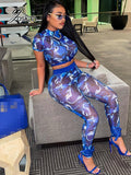 Yidouxian Blue Printed Sheer Mesh Short Sleeve Crop Tops and Pencil Pants 2 Piece Sets Womens Outfits Autumn 2023 Night Club Wear